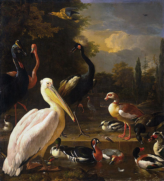 HONDECOETER, Melchior d A Pelican and Other Birds Near a Pool,